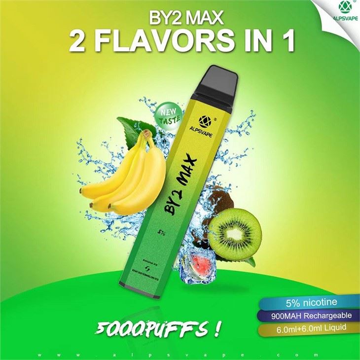ALPSVAPE BY2 MAX 5000 Electronic Cigarette Disposable Vape