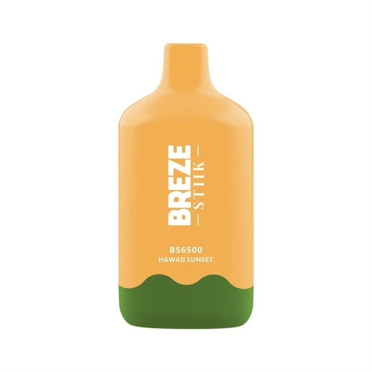 Breze Stiik BS 6500