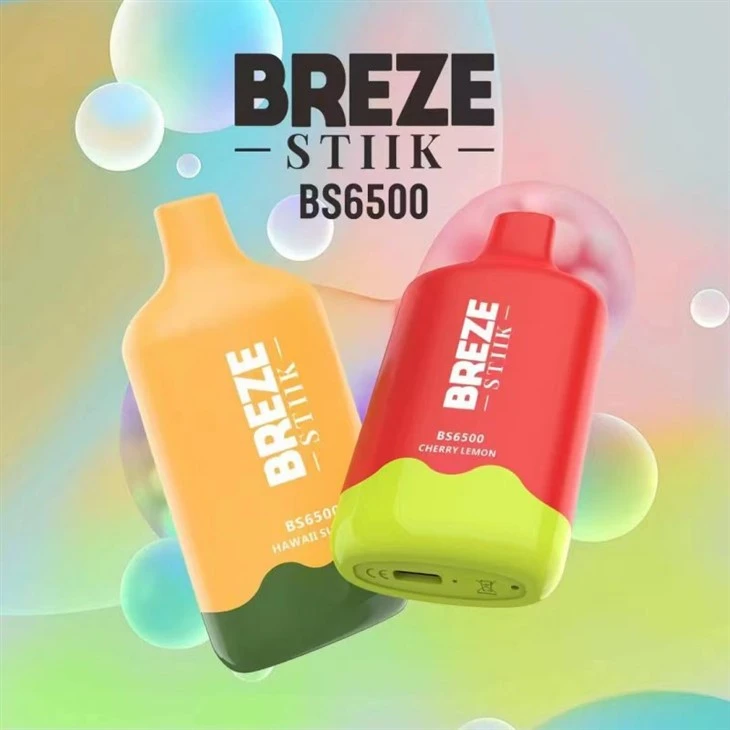 Breze Stiik BS6500