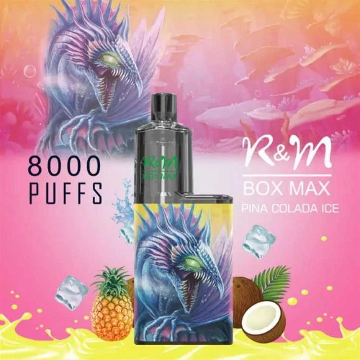 R&M BOX MAX 8000puff