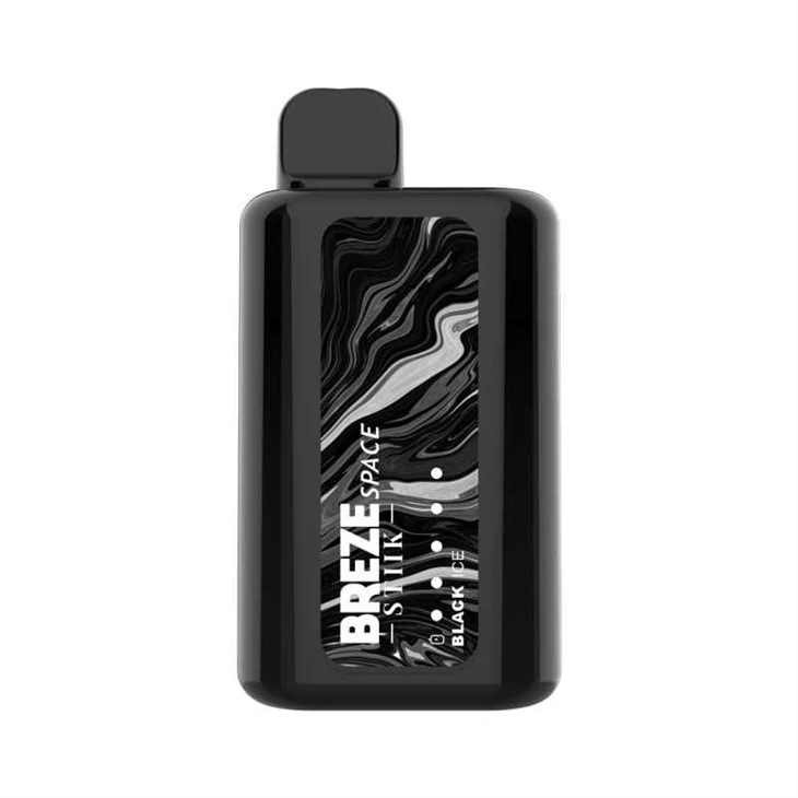 BREZE STIIK SPACE 6000PUFF