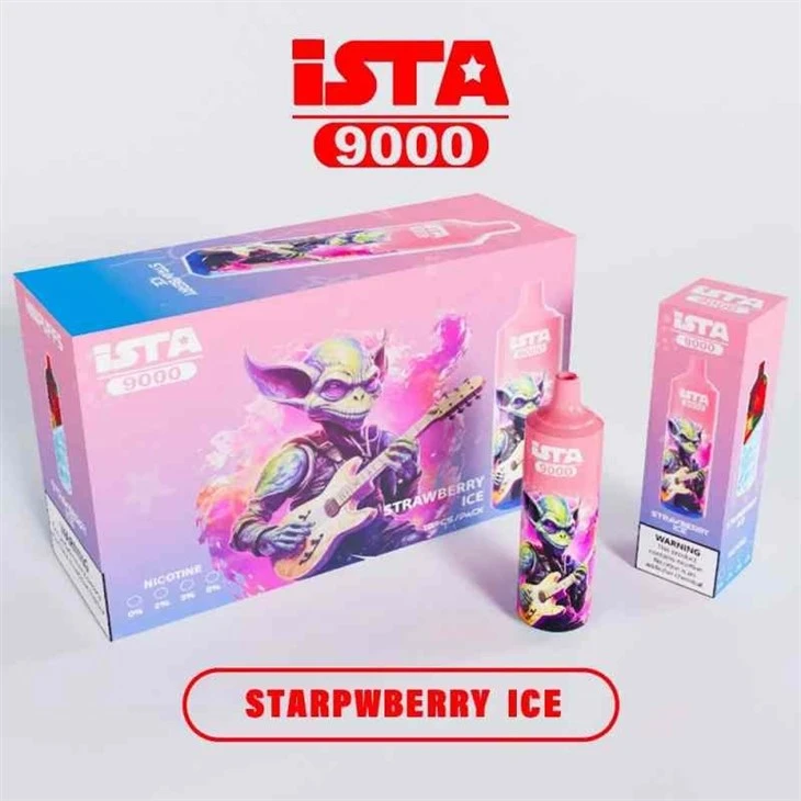 Vape-Ista-Disposable-Vapes-Ista-9000-Puffs-Mesh-Coil-with-Type-C-Charge-Electronic-Cigarette-Vaper-E-Pocket-Hookah-Charger-Wholesale-I-Vape-Pen