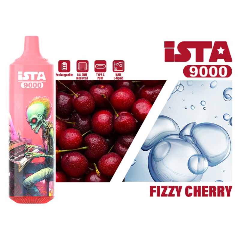 ISTA 9000 1 ISTA 9000 1
