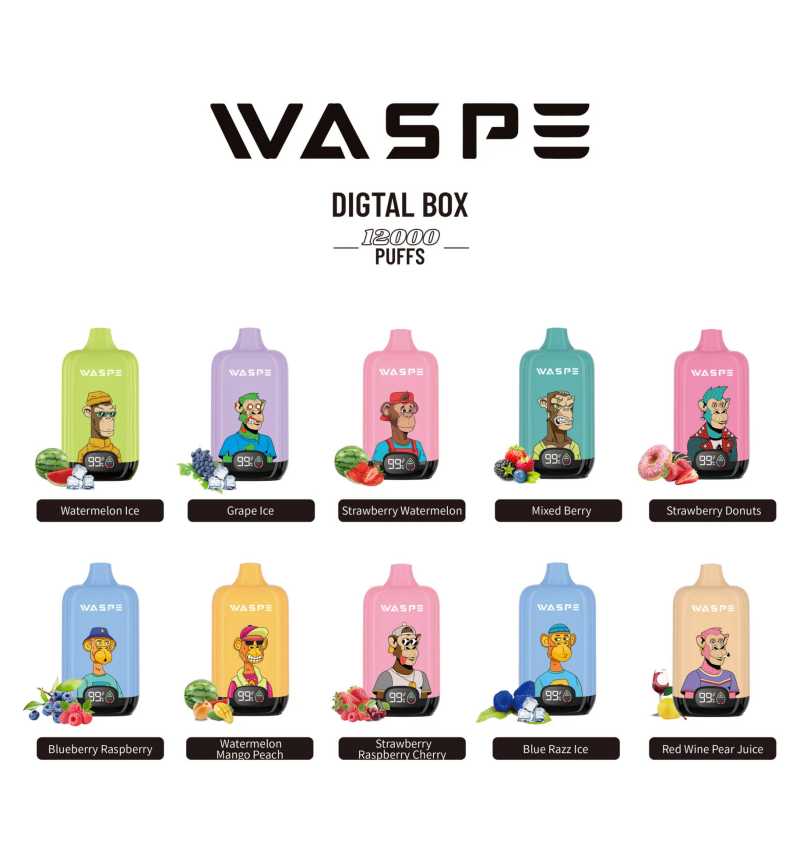 WASPE Digital Box 12000 23