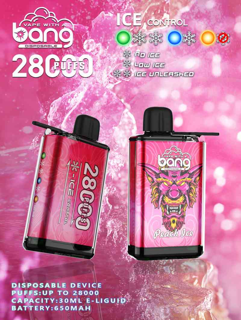 Bang 28000 PUFFS ICE CONTROL 19