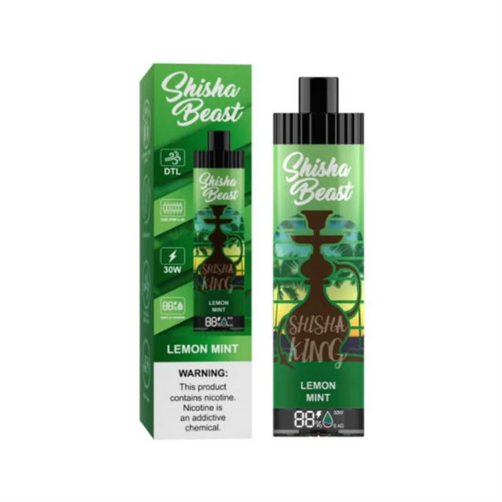 R&M ShiSha Beast 20000 Puffs