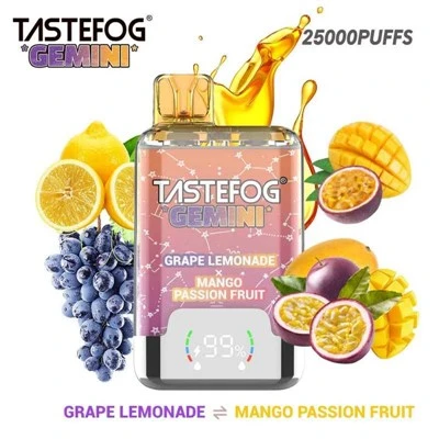 Tastefog Gemini 25000 Puffs