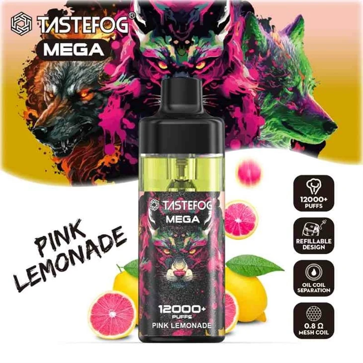 TASTEFOG MEGA 12000 31