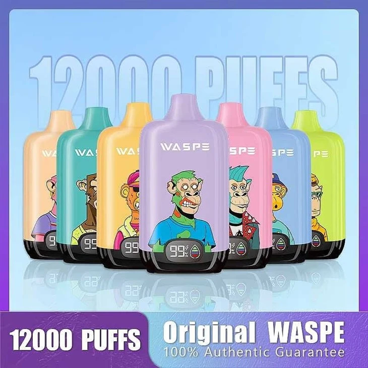 WASPE Digital Box 12000 11
