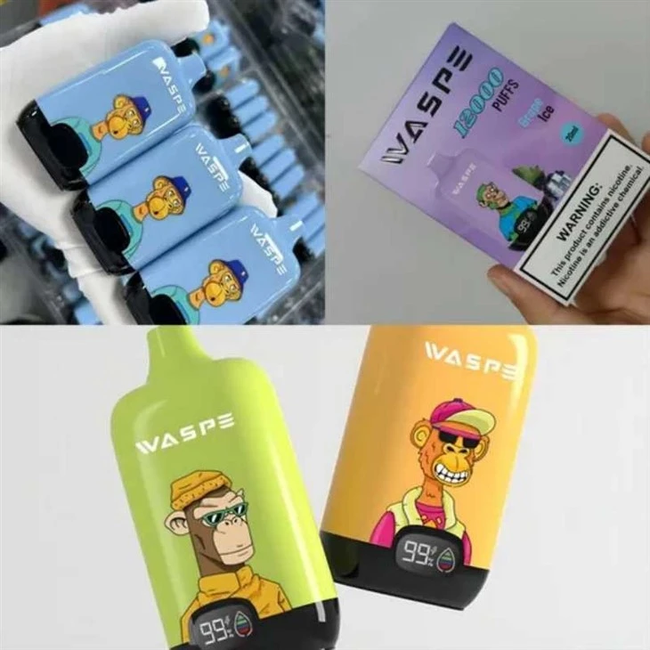 WASPE Digital Box 12000 9